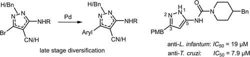 Late‐Stage Diversification of Pyrazoles as Antileishmanial Agents