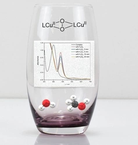 Investigations on Water‐Soluble Copper Complexes with the Sterically Demanding Triazacyclononane Derivative (tBu)2(nPrSO3)Htacn