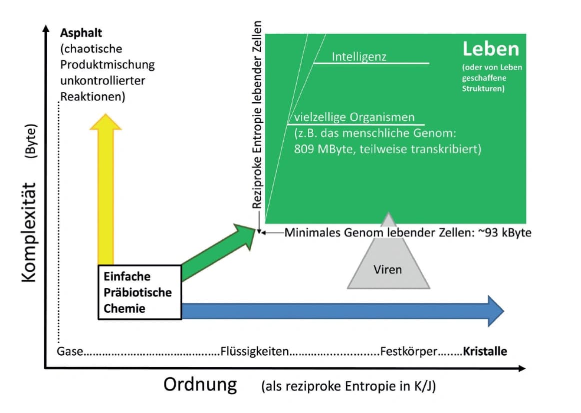 Durchstarten mit Peptiden