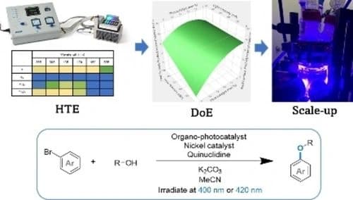 High‐Throughput Exploration of a Thioxanthone‐catalyzed Photoredox C−O Coupling