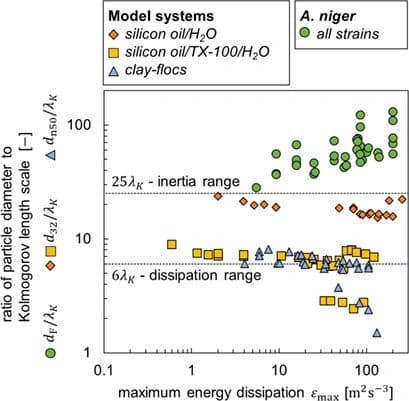 Comparative Study of Fluid Dynamic Stress on Aspergillus niger and Model Systems