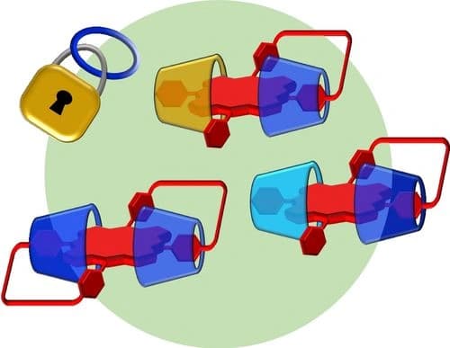 Cyclodextrin‐Based Catenanes Platformed with meso‐Arylporphyrin