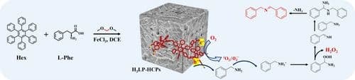 Amino Acid Modified Hyper‐Cross‐Linked Polymer Enabling High‐efficient Photocatalytic Amines Oxidation Coupled with H2O2 Production