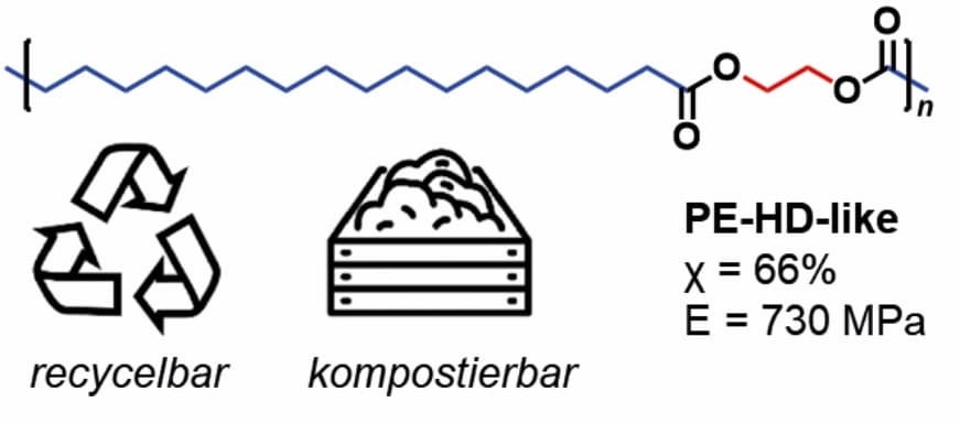 Ein polyethylenähnlicher biologisch abbaubarer Polyester