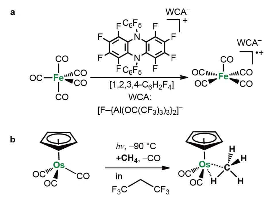 Nebengruppen, Bioanorganik und Koordinationschemie