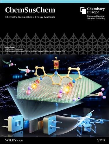 Polypyrrole Regulates Active Sites in Co‐Based Catalyst in Direct Borohydride Fuel Cells