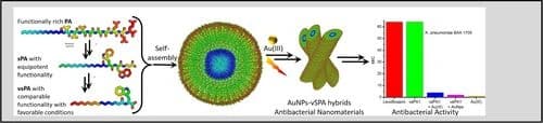 Antimicrobial peptide mimetic minimalistic approach leads to very short peptide amphiphiles‐gold nanostructures for potent antibacterial activity