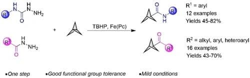 Synthesis of Bicyclo[1.1.1]pentane Carboxamides and Ketones from [1.1.1]Propellane