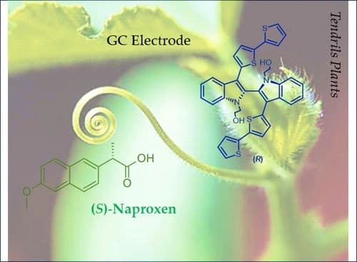 Designing Powerful Biindole‐Based Inherently Chiral Selectors: Enhancing Enantiodiscrimination by Core Functionalization with Additional Coordination Elements