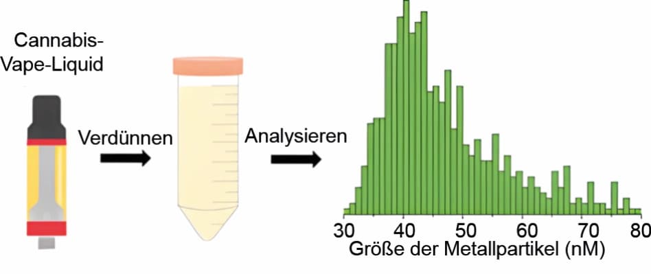 Notizen aus der Forschung