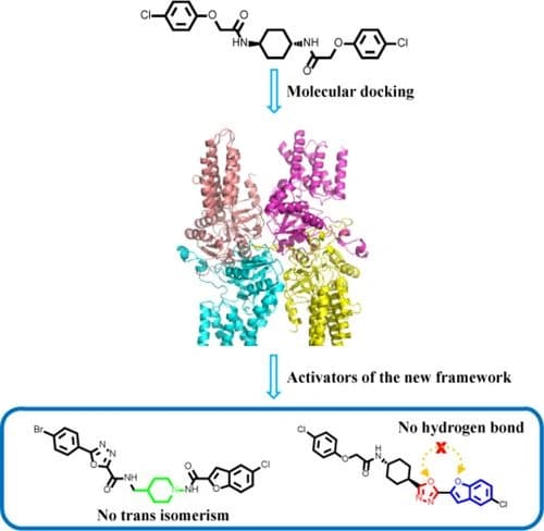 Design, Synthesis, and Biological Evaluation of Eukaryotic Initiation Factor 2B (eIF2B) Activators