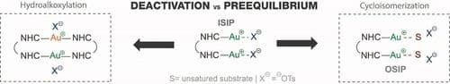 Insights on the Anion Effect in N‐heterocyclic Carbene Based Dinuclear Gold(I) Catalysts