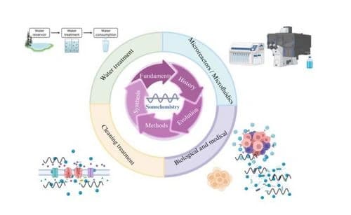 The Evolution of Sonochemistry: From the Beginnings to Novel Applications