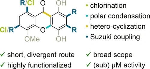 Diversity Oriented Synthesis of Novel Xanthones Reveal Potent Doxorubicin‐Inspired Analogs