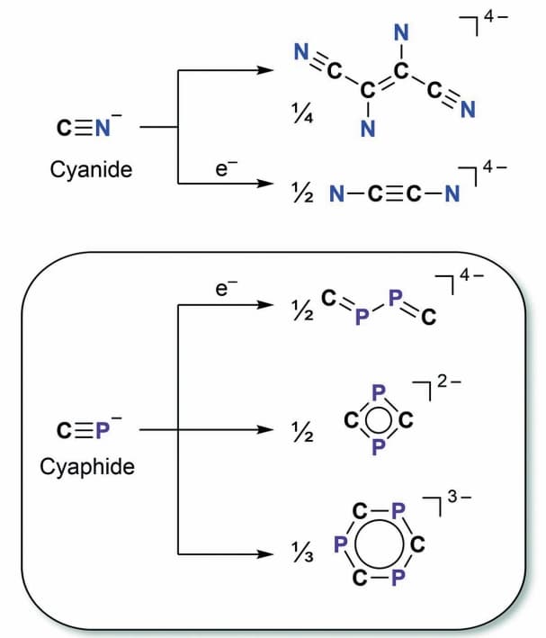 Cyaphid statt Cyanid