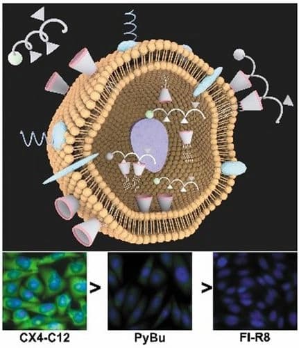 Cellular Uptake of Cell‐Penetrating Peptides Activated by Amphiphilic p‐Sulfonatocalix[4]arenes