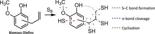 Reactivity of Biomass‐Derived Olefins with Elemental Sulfur: Mechanistic Insight