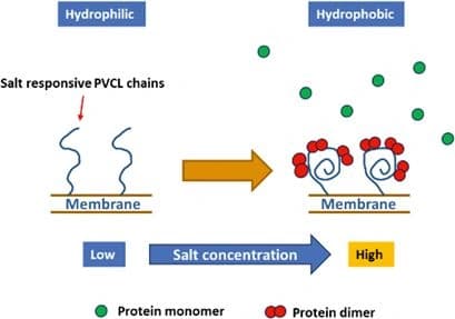 Aggregate Removal by Responsive Electrospun Membrane based Hydrophobic Interaction Chromatography