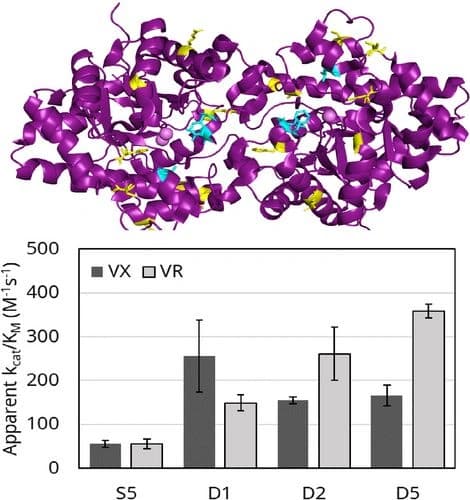 Computational Design of Phosphotriesterase Improves V‐Agent Degradation Efficiency