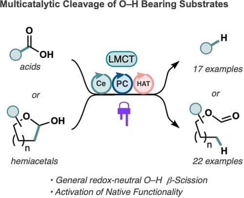 Redox‐Neutral Multicatalytic Cerium Photoredox‐Enabled Cleavage of O−H Bearing Substrates