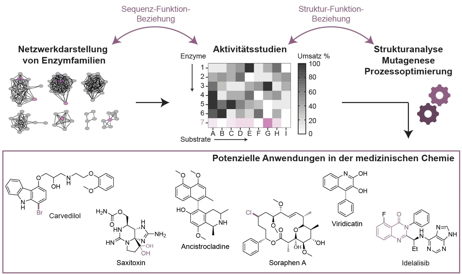 Späte Funktionalisierung mit Biokatalysatoren aus Naturstoffsynthesen