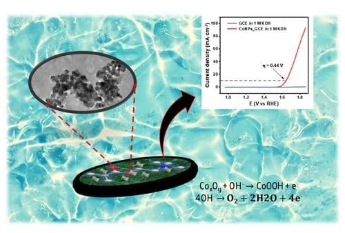 Poly[(2‐methacryloyloxy)Ethyl]Trimethylammonium Chloride Supported Cobalt Oxide Nanoparticles as an Active Electrocatalyst for Efficient Oxygen Evolution Reaction