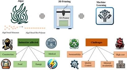 Advancing 3D Printing through Integration of Machine Learning with Algae‐Based Biopolymers