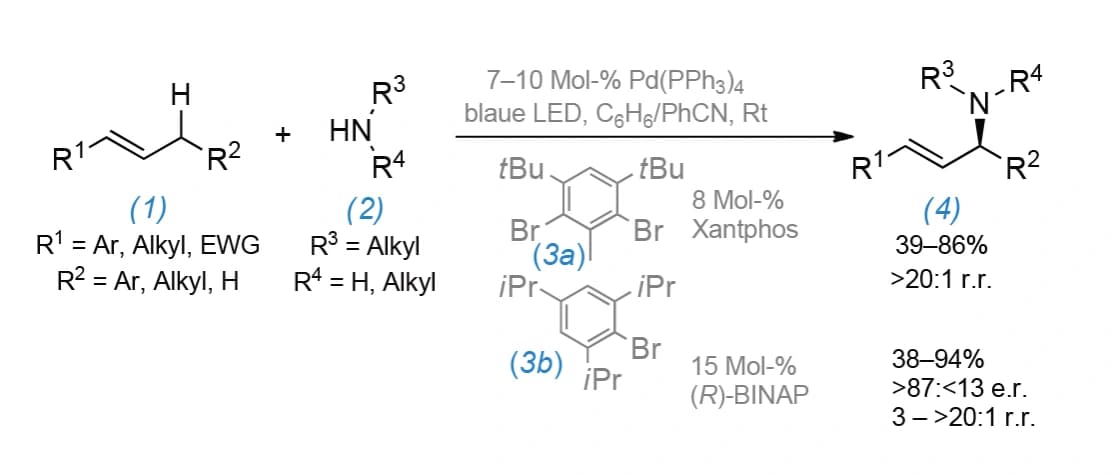 Olefine mit Licht allylisch aminieren