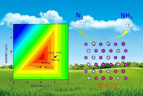 Efficient Nitrogen Reduction on Weyl Antiferromagnet Mn3Sn