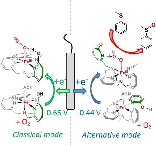 Significant effect of 2nd sphere interactions on the reductive activation of O2 by non‐heme iron(II) complexes – Application to the electroassisted oxidation of thioanisole