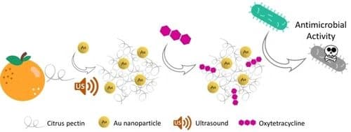 Ultrasound–Driven Deposition of Au and Ag Nanoparticles on Citrus Pectin: Preparation and Characterisation of Antimicrobial Composites