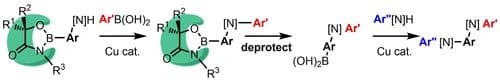 Sterically Congested Protecting Group for a Boronyl Group in Iterative Aminations