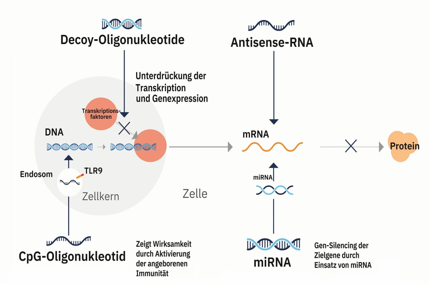 Minimale Interaktion für optimale Leistung