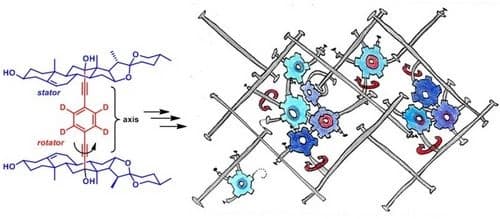 Polymer network comprised of steroidal rotors as promising storage material