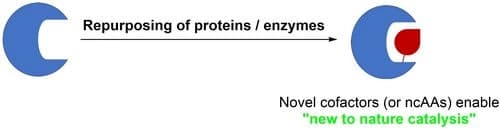 Artificial Biocatalysis: Quo Vadis?