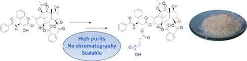 A Practical, Scalable Synthesis of 1,18‐Octadecanedioic acid‐Paclitaxel (ODDA‐PTX)