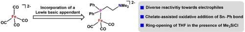 Reactivity of an Iron Carbonyl Dianion Dictated by a Lewis Basic Appendant