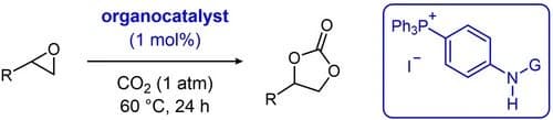 Mechanistic Insights into Urea‐, Thiourea‐, and Isothiourea‐Based Bifunctional Tetraarylphosphonium Salt Catalysis for Conversion of Carbon Dioxide to Cyclic Carbonates