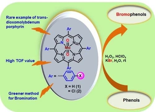 Trans‐Dioxidomolybdenum(VI) Porphyrins and their Catalytic Activity Mimicking Oxidative Bromination