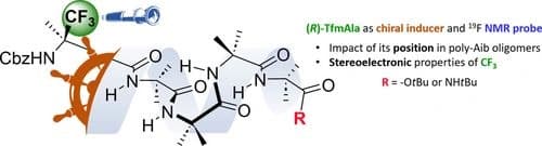 Bimodal use of chiral α‐Trifluoromethylalanine in Aib Foldamers: study of the position impact towards the helical screw‐sense preference