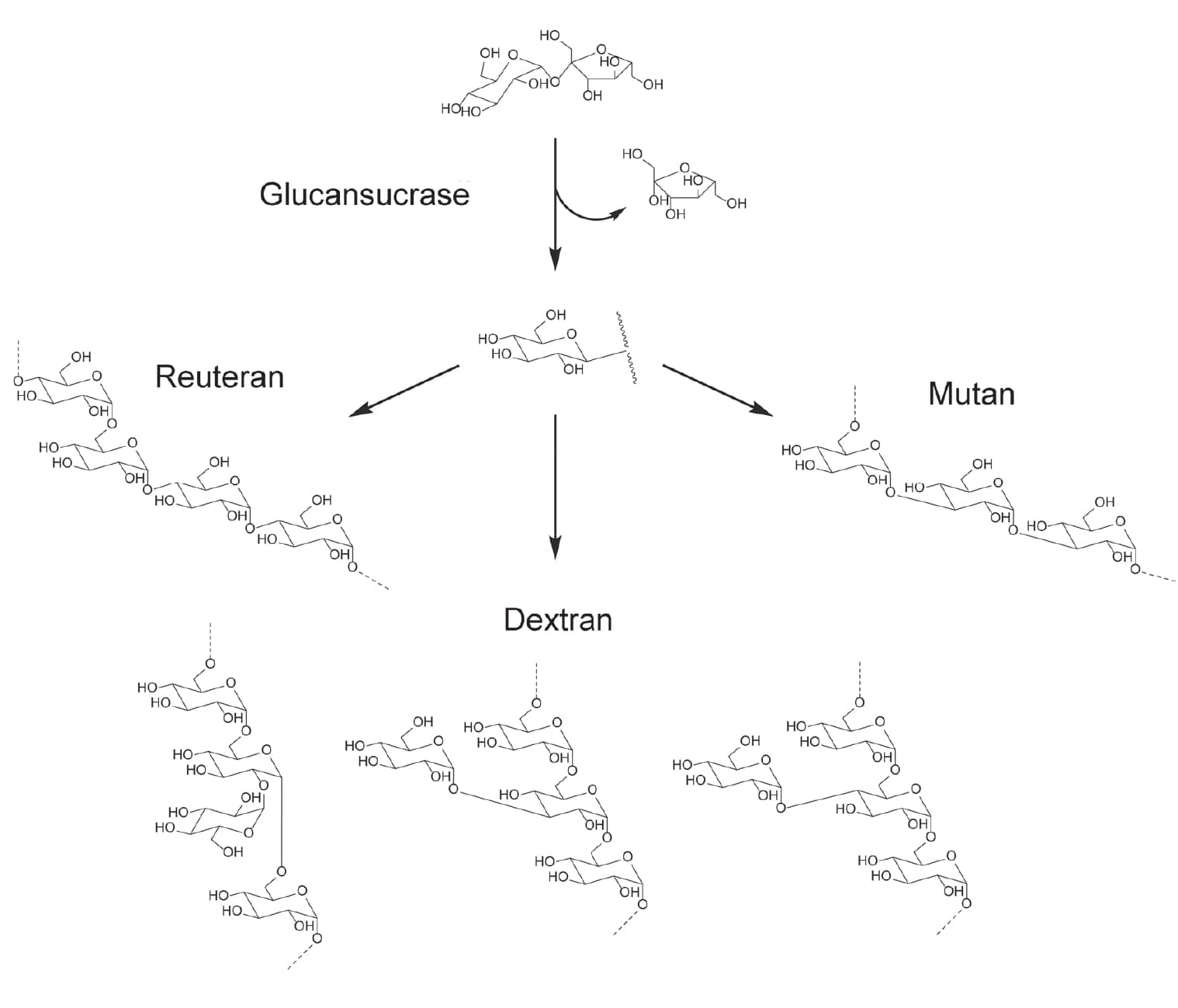 Trendbericht Lebensmittelchemie