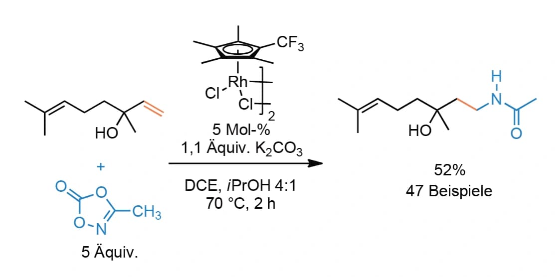 Anti-Markownikow-Hydroamidierung