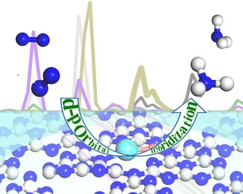 Insight into the d–p Orbital Hybridization of Ru and B Dispersed g‐C3N4 Catalysts for Nitrogen Reduction Reaction