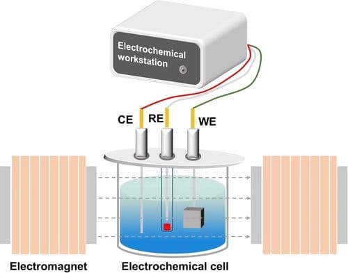 Magnetic‐Field‐Induced Spin Regulation in Electrocatalytic Reactions