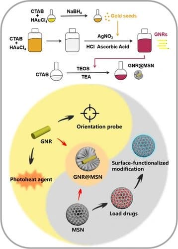 Progress of Mesoporous Silica Coated Gold Nanorods for Biological Imaging and Cancer Therapy