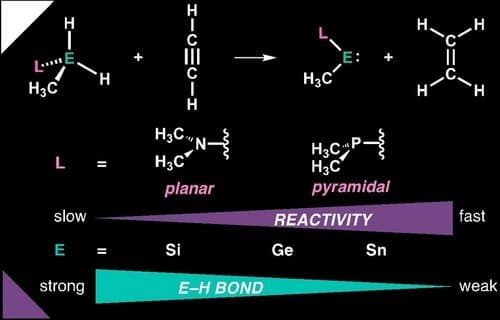 Rational Design of Metallylenes for Hydrogenation Reactions