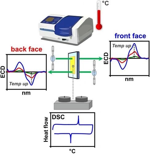 Impact of Temperature on the Chiroptical Properties of Thin Films of Chiral Thiophene‐based Oligomers