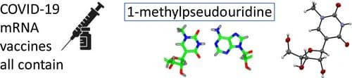 RNA oligomers at atomic resolution containing 1‐methylpseudouridine, an essential building block of mRNA vaccines