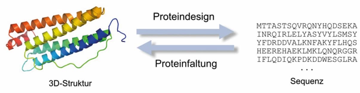 Neue Wege durch Deep Learning und generative Modelle/Trendbericht Physikalische Chemie 2024 (3/3)