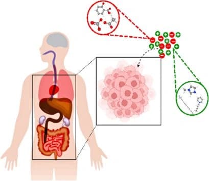 Unlocking the Anticancer Potential of Ionic Liquids